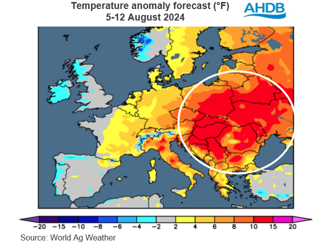 Temperature Map 30 07 2024